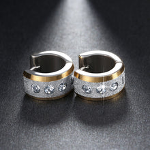 Load image into Gallery viewer, Gold Color 316L Stainless Steel Zircon Crystal Stud Earrings